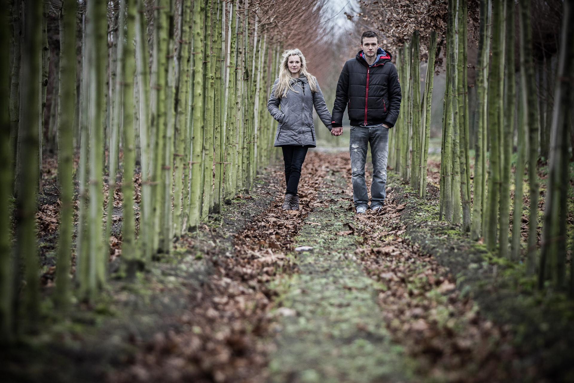 Paar geht Hand in Hand durch einen Baumweg